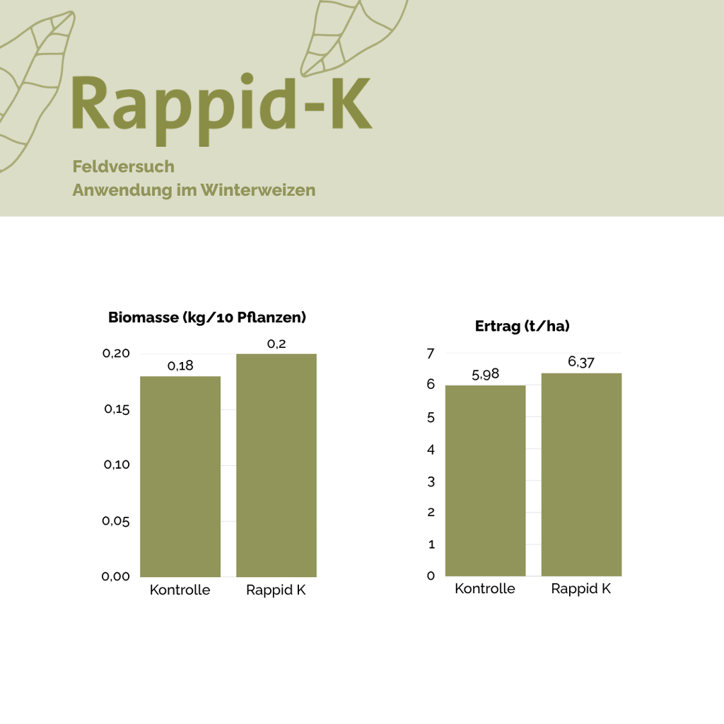 Rappid-K (2).webp
